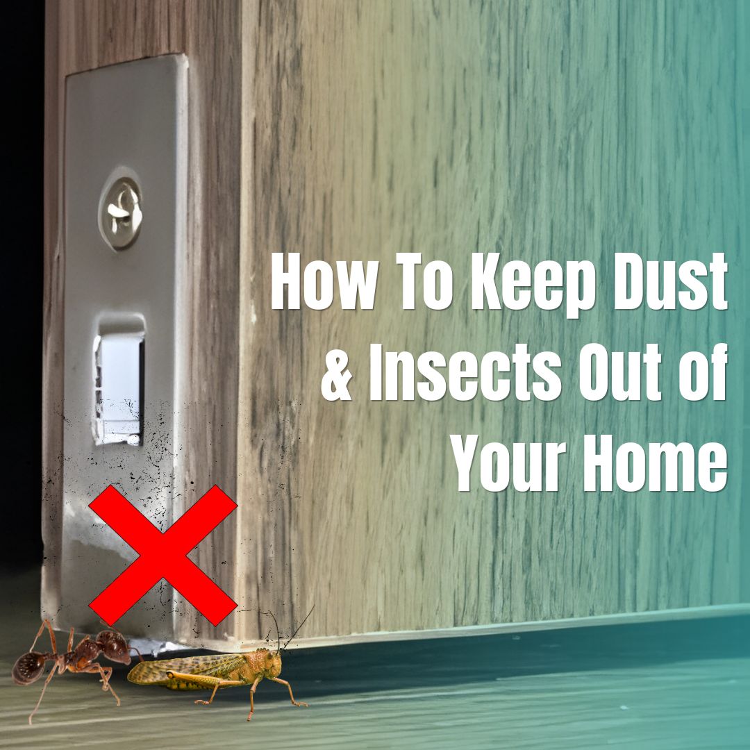 How To Keep Dust and Insects Out Of Your Home - Bumi Megah Timber Doors ...