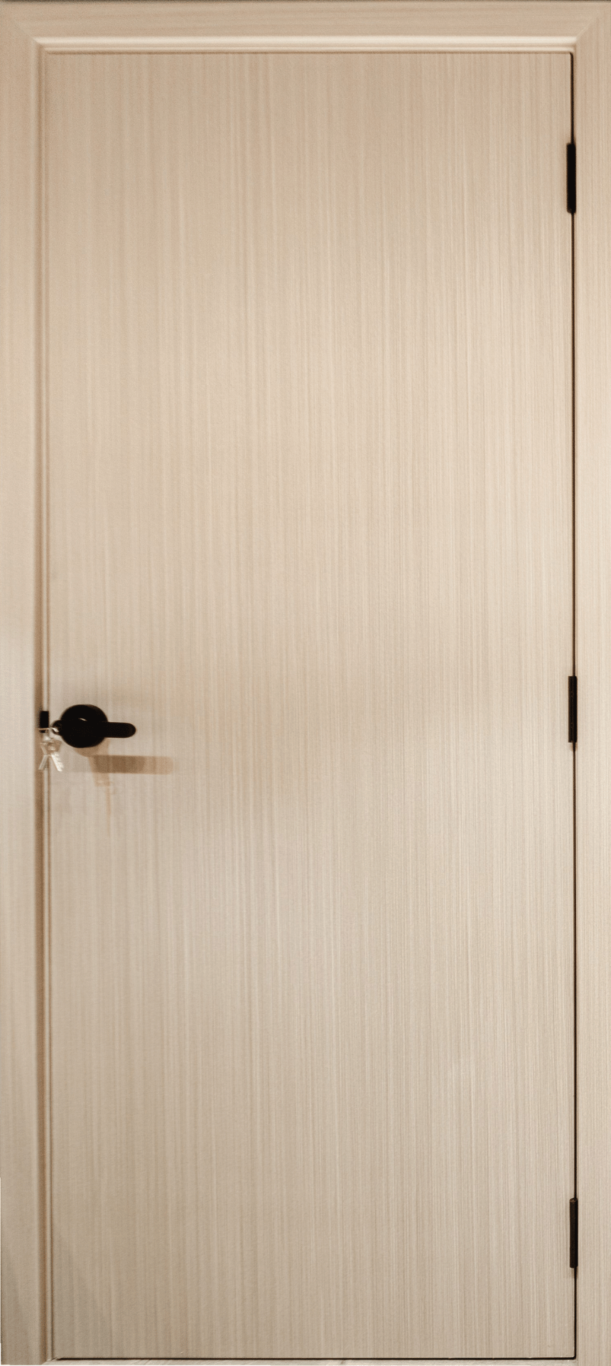Bumi Megah Timber Door Singapore Door Supplier Singapore Water and Termite-proof WTP Door