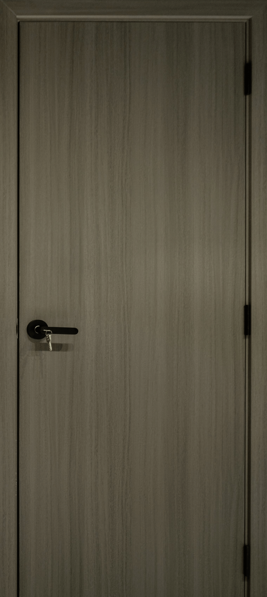 Waterproof and Termite-Proof Bedroom and Toilet Door WTP Door Singapore