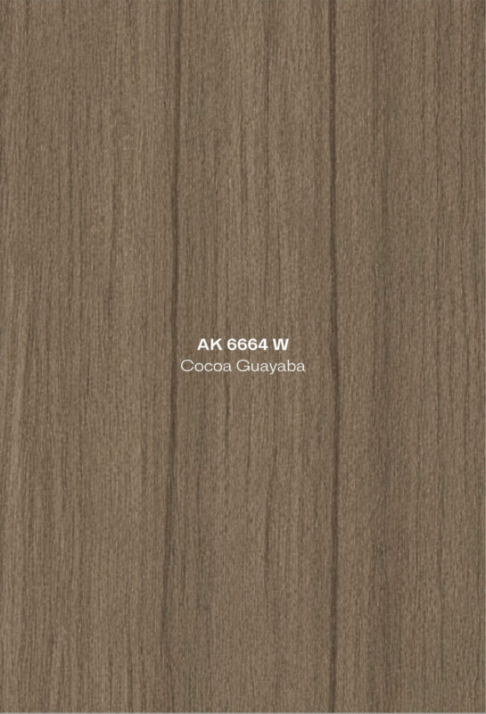 14. AK 6664 W Cocoa Guayaba High Pressure Laminate Door Singapore