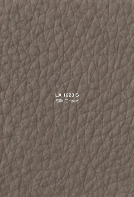 16. LA 1923 S Silk Green High Pressure Laminate Door Singapore