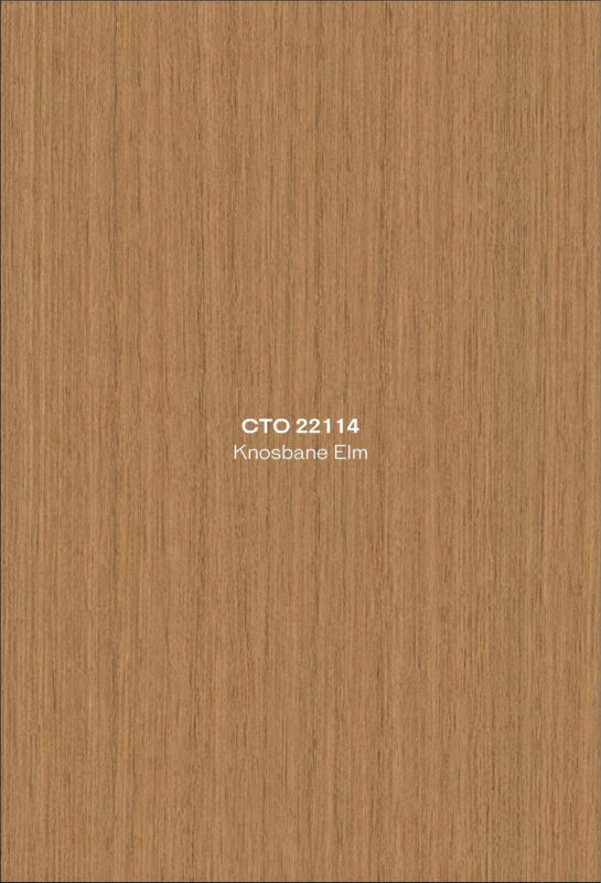 2. CTO 22114 Knosbane Elm High Pressure Laminate Door Singapore