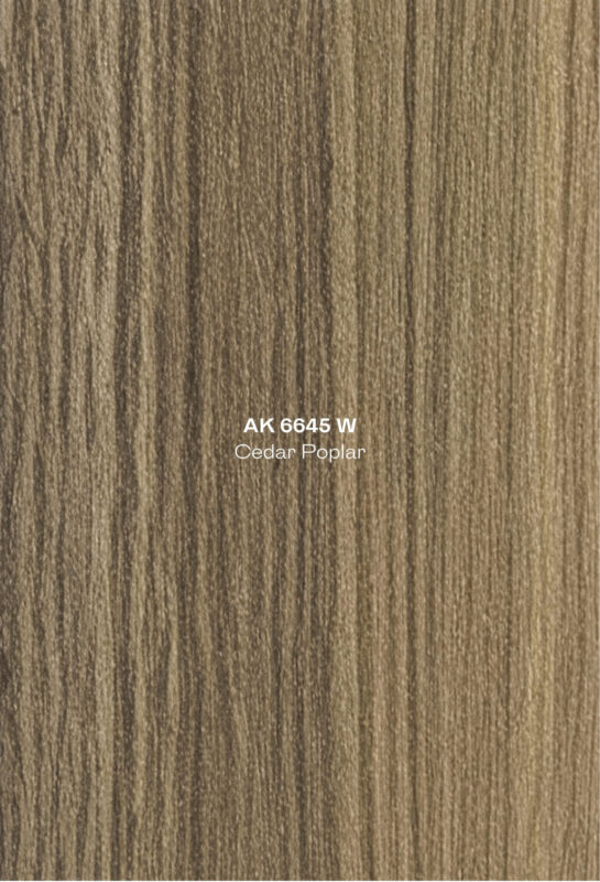 3. AK 6645 W Cedar Poplar High Pressure Laminate Door Singapore